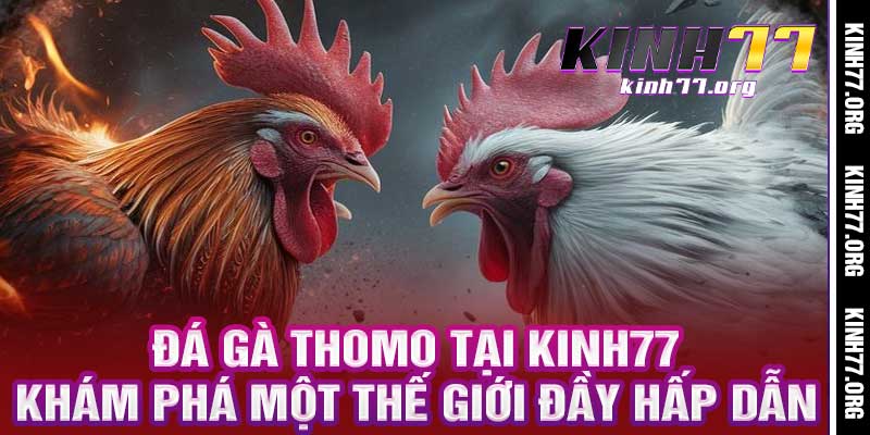 Đá Gà Thomo
